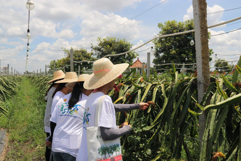 广东农工商职业技术学院“心欣向农”助农直播实践团深入调研杨柑镇产业.png