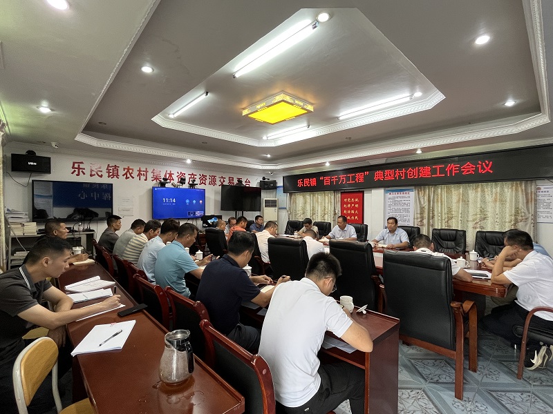 1 乐民镇典型村创建工作会议现场.jpg