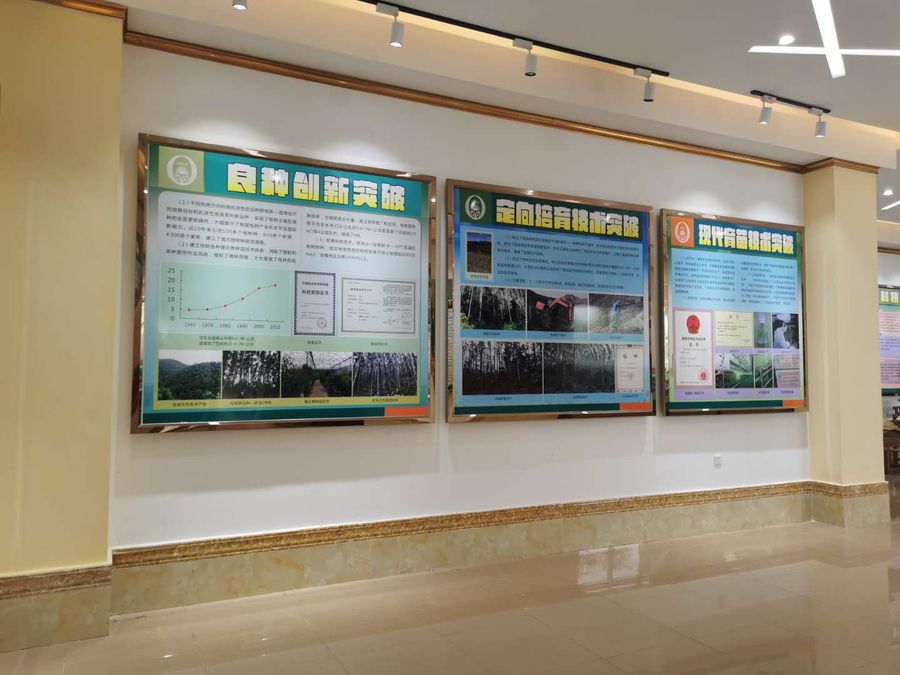 桉树科普馆2.jpg