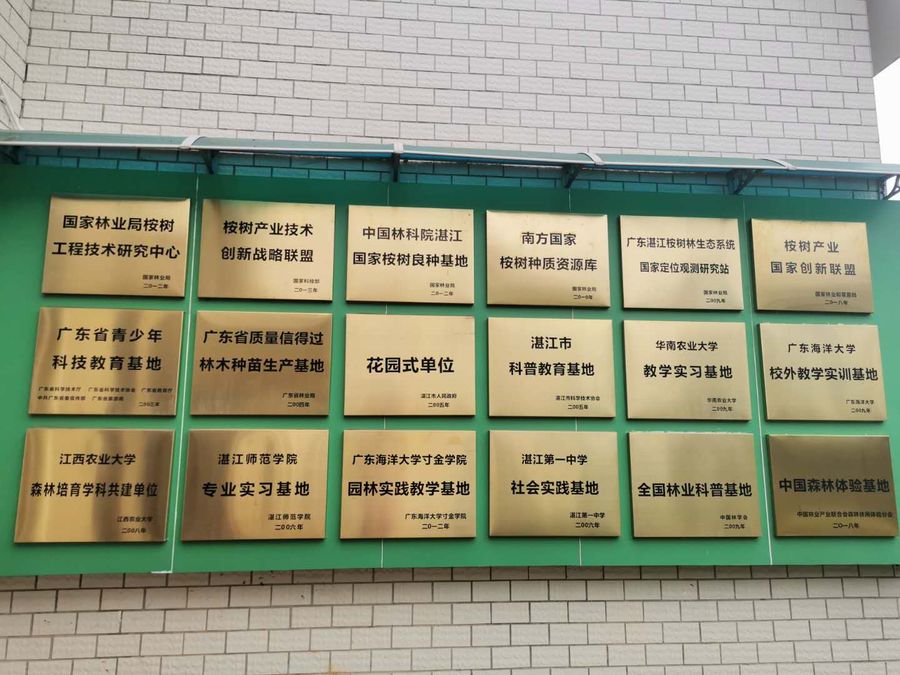 桉树科普馆8.jpg