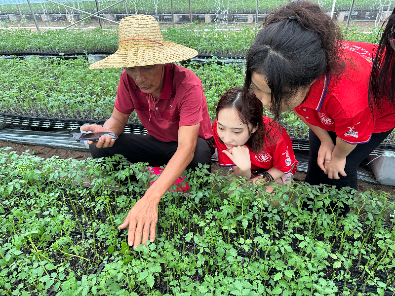 广东石油化工学院新农果蔬筑梦队走访界炮镇圣女果种植基地.jpg