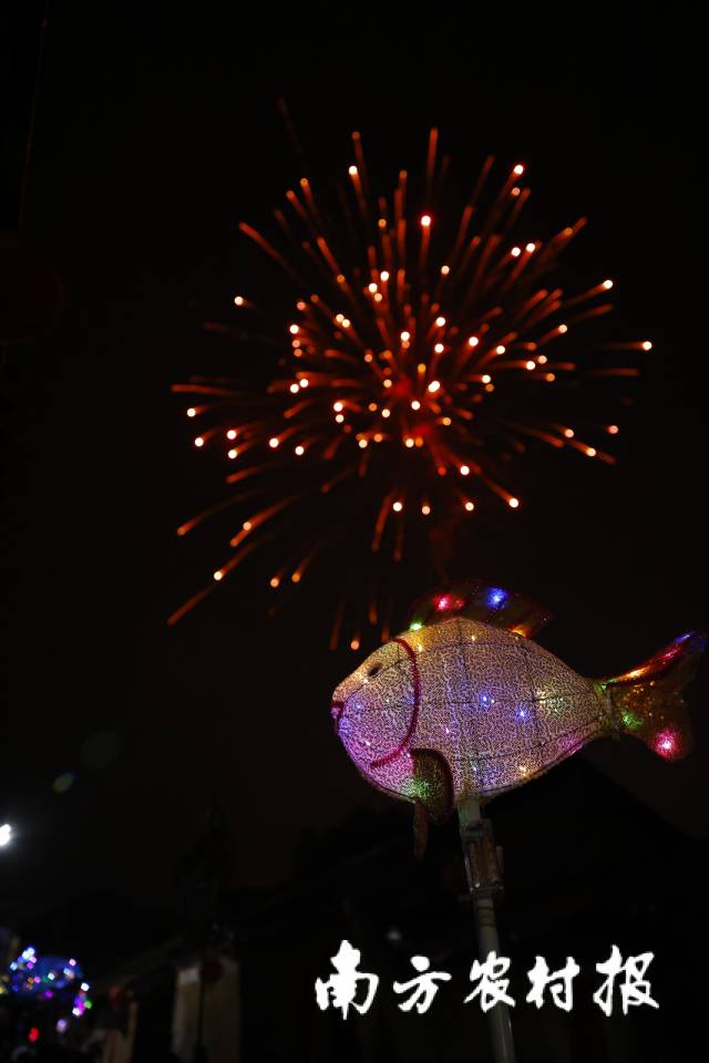 烟花绽放，游鱼熠熠生辉。